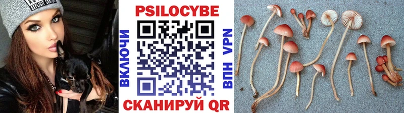 Псилоцибиновые грибы мицелий  Белово 